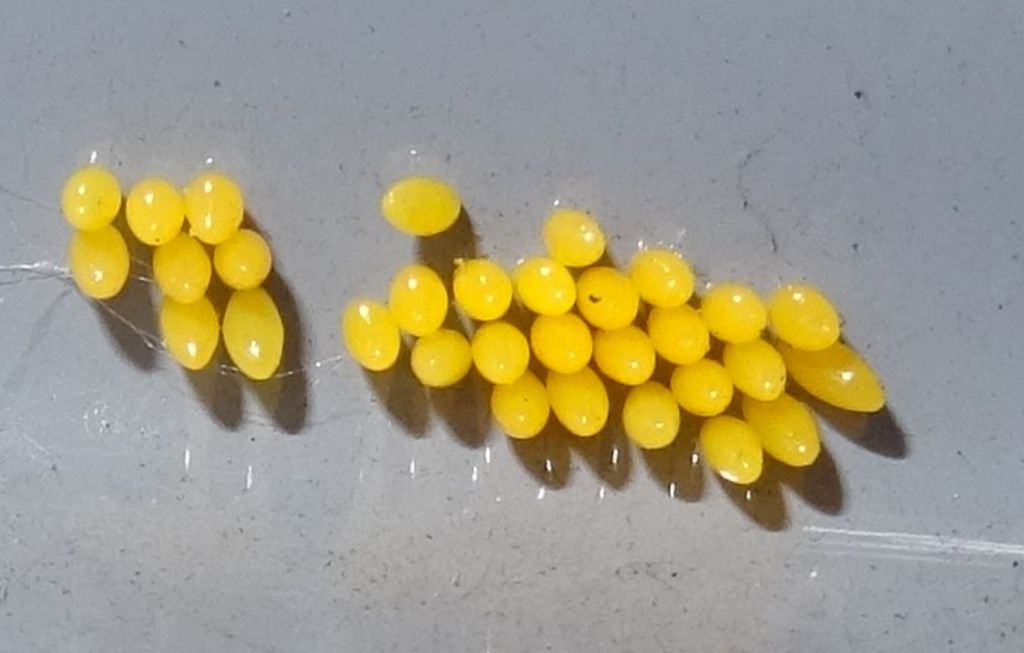 31 uova gialle .....sulla carrozzeria